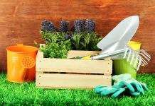 Сайт тематики Сад и огород Сад и огород