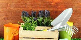 Сайт тематики Сад и огород Сад и огород