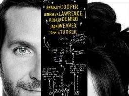 Сборник лучиков надежды / Silver Linings Playbook
