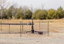 Microsoft інвестує в майбутнє планети: масштабна закупівля технологій уловлювання вуглецю