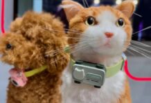 PetPhone: Mobilní sledovač, který umožňuje, aby vám váš mazlíček zavolal 🐾