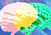 Функціонал «Експертної Оцінки» від Grammarly Обманює Користувачів Вигаданими Рекомендаціями