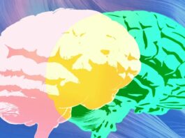 Функціонал «Експертної Оцінки» від Grammarly Обманює Користувачів Вигаданими Рекомендаціями