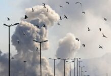 Оцінка Політики у відношенні Ірану: Безпека понад Почуття