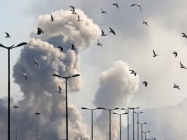 Оцінка Політики у відношенні Ірану: Безпека понад Почуття