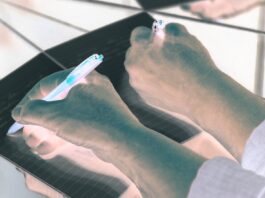 Grammarly Претензії за Несанкціоноване Використання “Діпфейків” Особистості Письменників