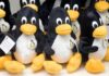 Unix проти Linux: чому ця відмінність важлива для розробників