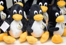 Unix проти Linux: чому ця відмінність важлива для розробників