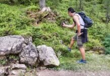 Найкращі програми для визначення природи в літні прогулянки